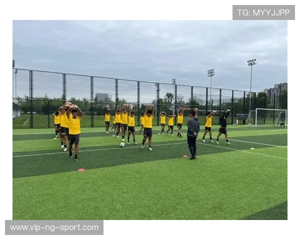 绿茵争锋激情燃烧展现团队荣耀与胜利追逐的足球盛宴