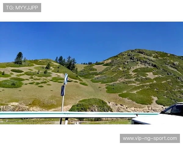 以新疆广汇为核心探索区域经济发展新模式与产业融合路径分析