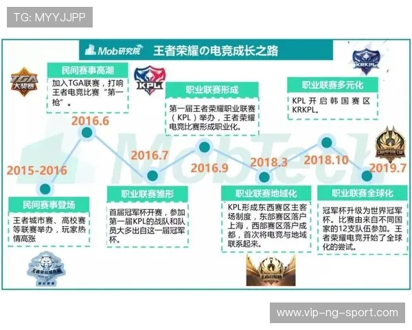 电竞产业崛起背后的发展机遇与挑战分析：从市场规模到职业化进程探讨