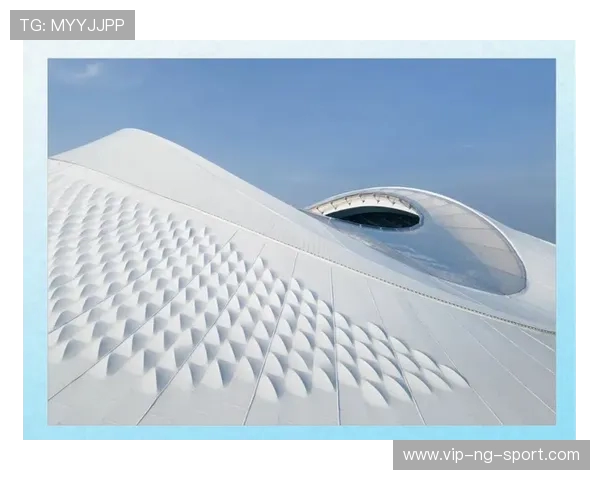 福建浔兴股份创新发展战略解析推动产业升级与可持续增长路径探讨